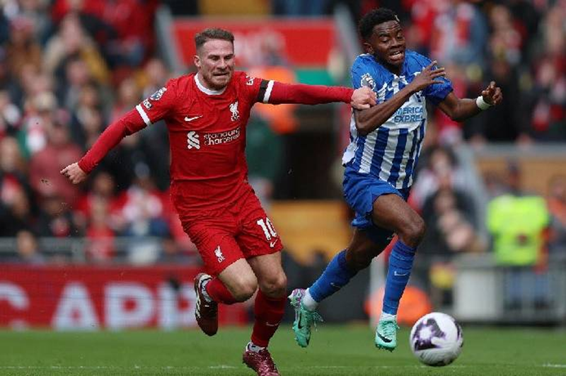 Nhận định trận đấu Liverpool vs Brighton uk88
